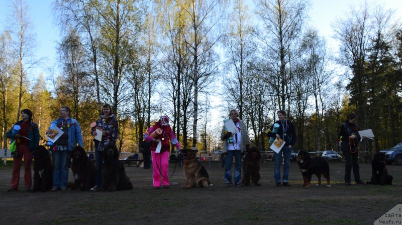 Фотография № 181328