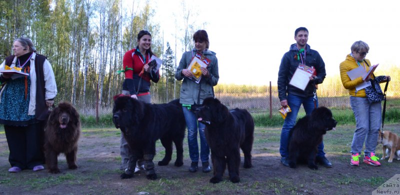 Фотография № 181329