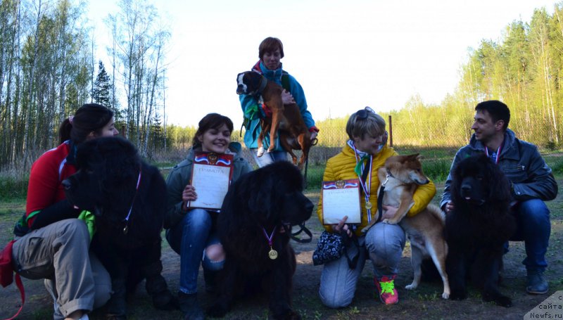 Фотография № 181330