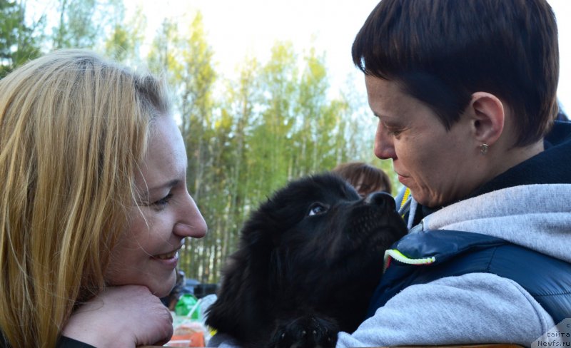 Фотография № 181334