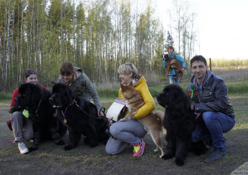 Фотография № 181335