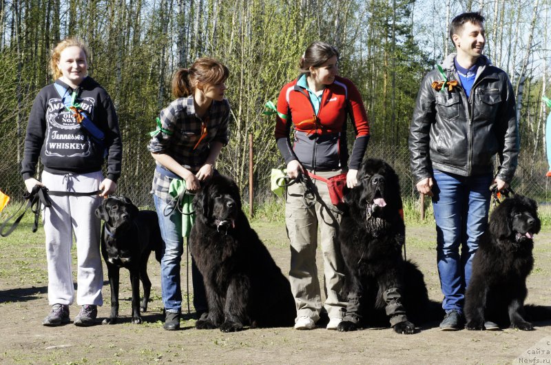 Фотография № 181336