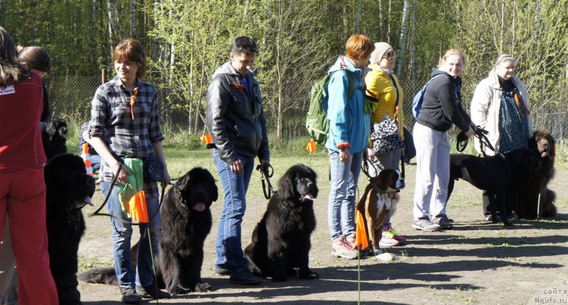 Фотография № 181337