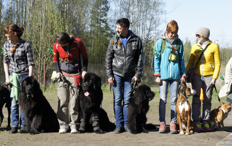 Фотография № 181338