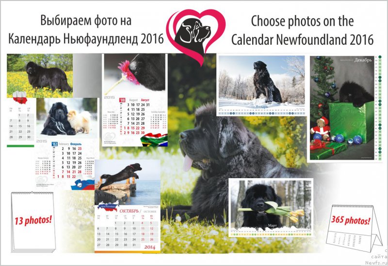 Фотография № 181341