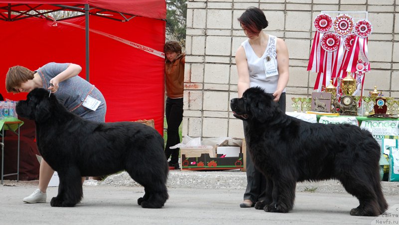 Фотография № 181351