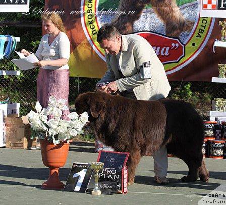 Фотография № 181352