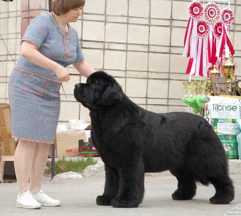 Фотография № 181355