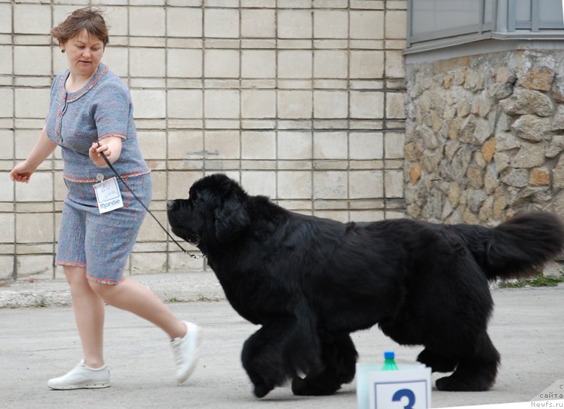 Фотография № 181356