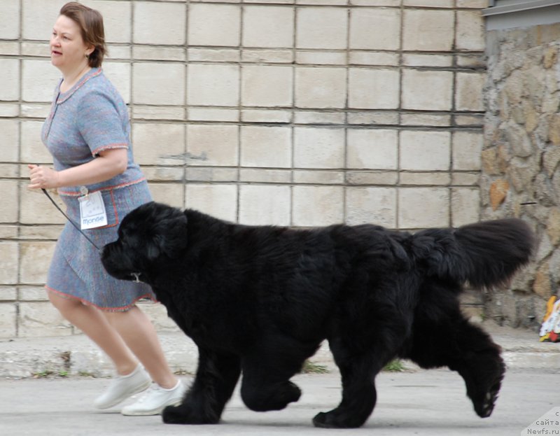 Фотография № 181357