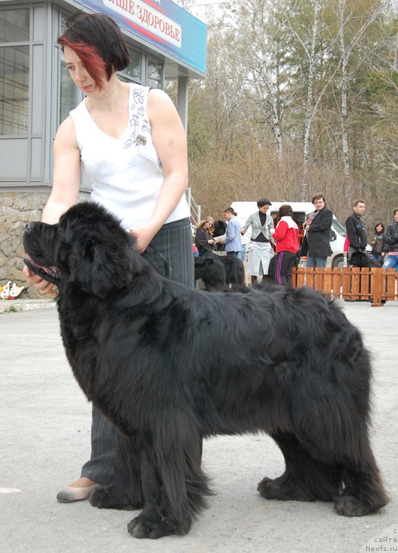 Фотография № 181358