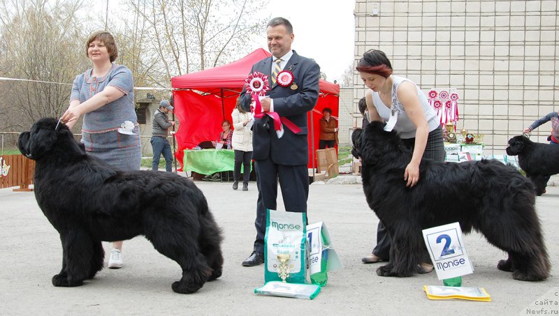 Фотография № 181359