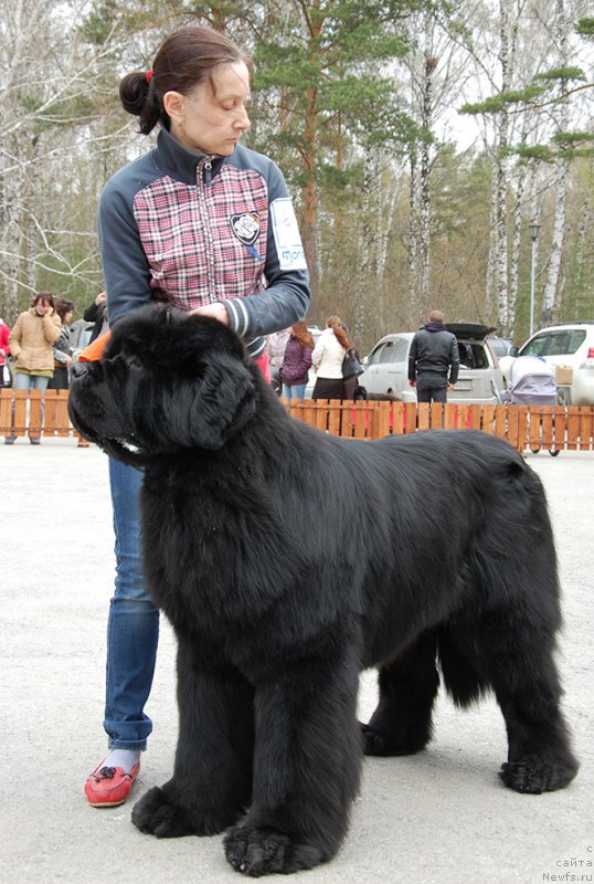 Фотография № 181369