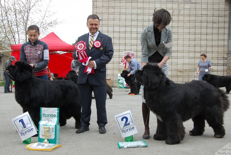 Фотография № 181371