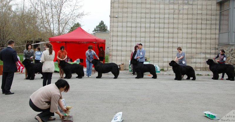 Фотография № 181374