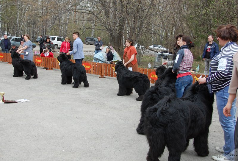 Фотография № 181378