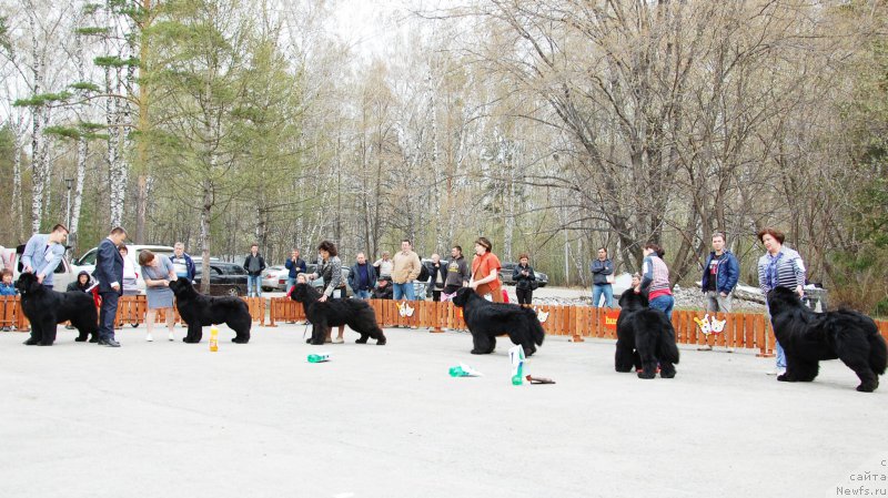 Фотография № 181380