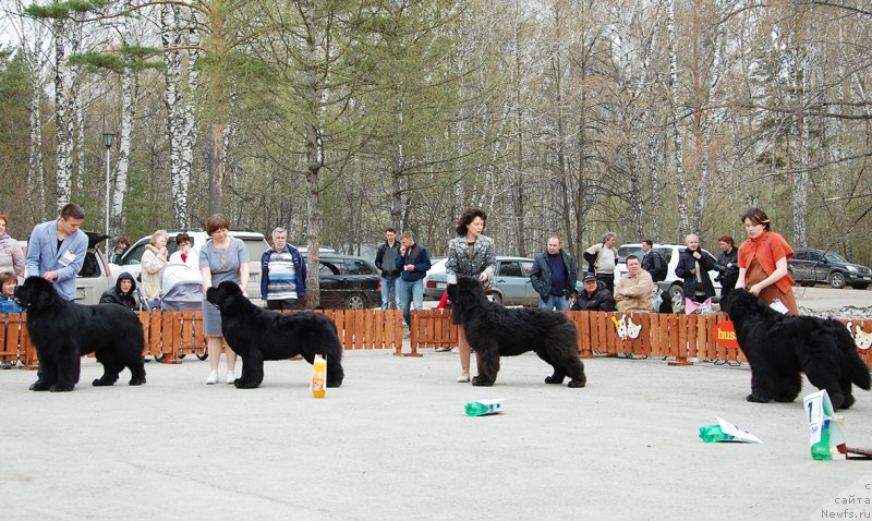 Фотография № 181381