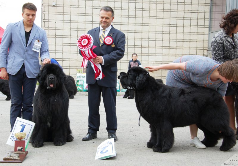 Фотография № 181382