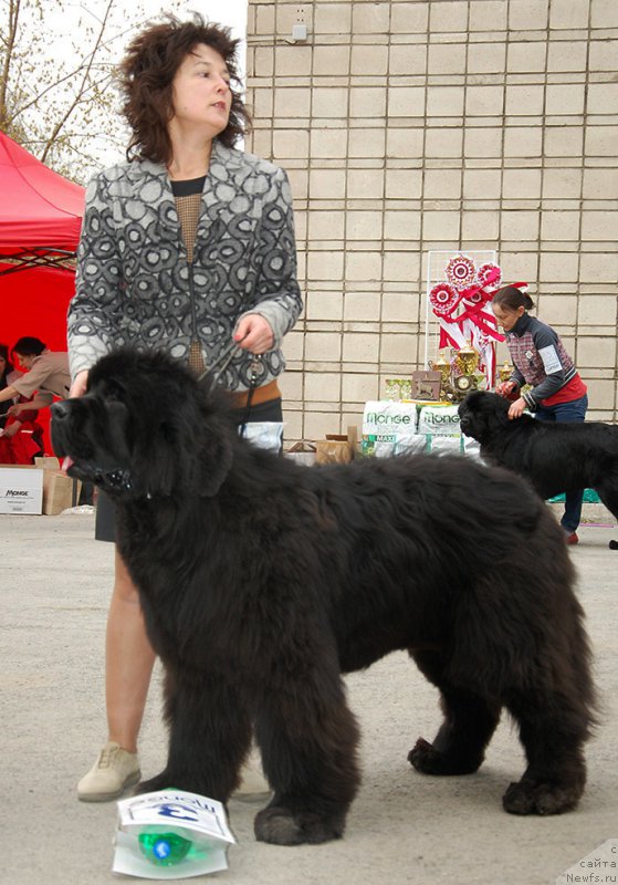 Фотография № 181383