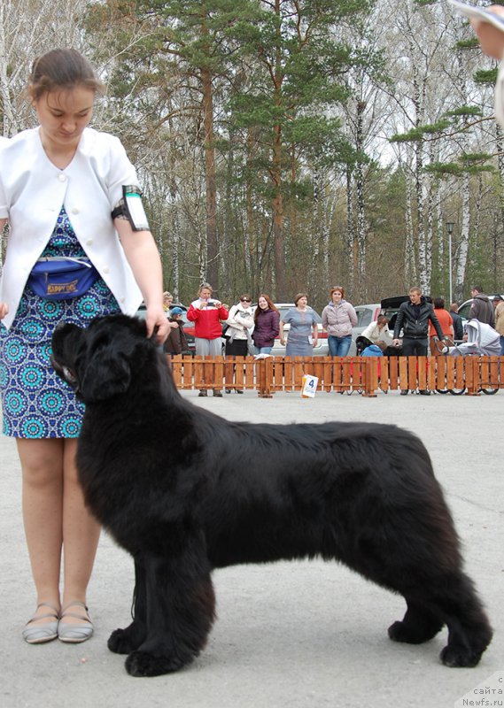 Фотография № 181384