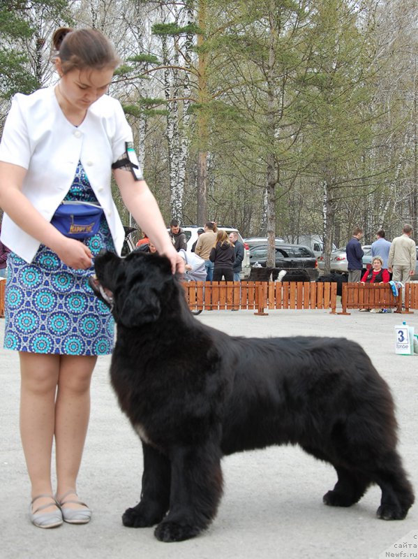 Фотография № 181385