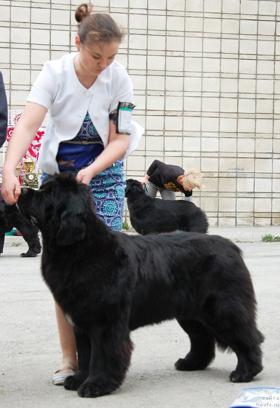 Фотография № 181386