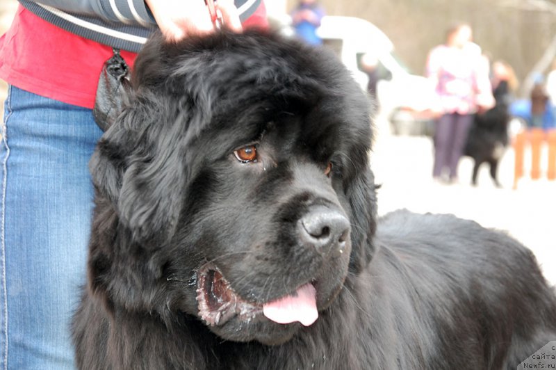 Фотография № 181391