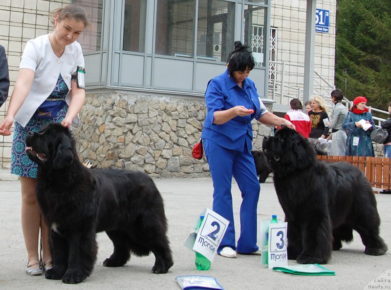 Фотография № 181393