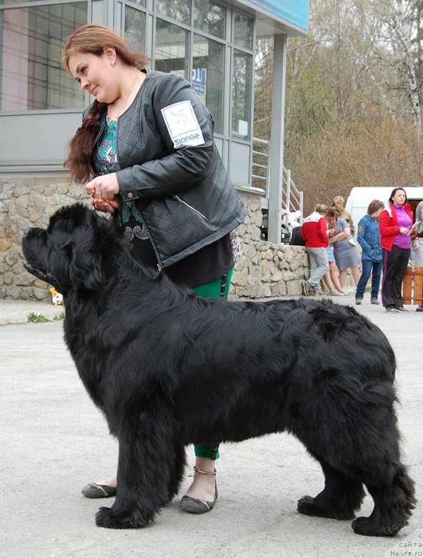 Фотография № 181397