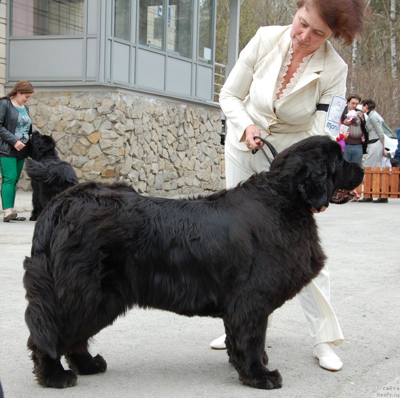 Фотография № 181399