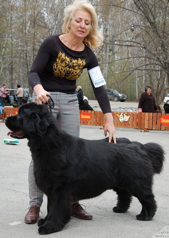 Фотография № 181401