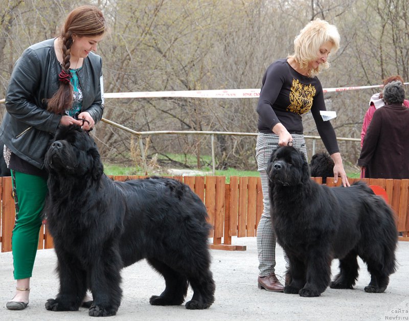 Фотография № 181403