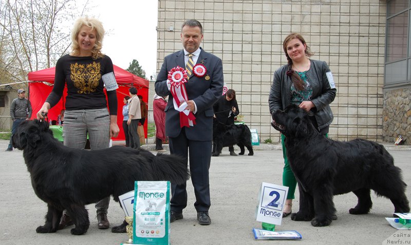 Фотография № 181404