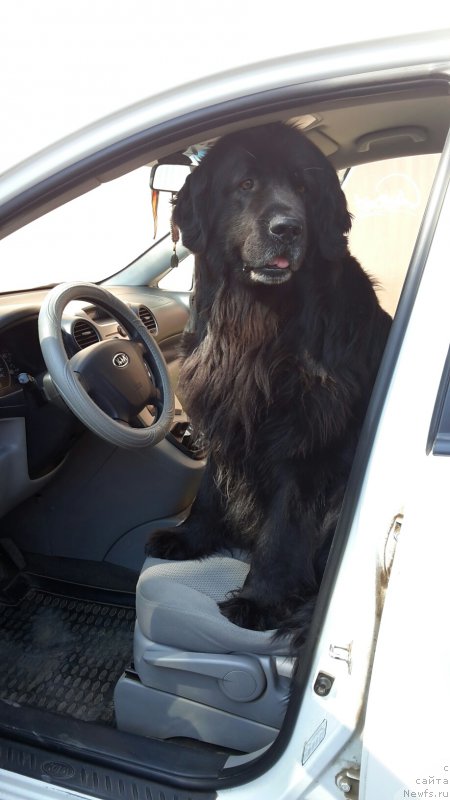 Фотография № 181412