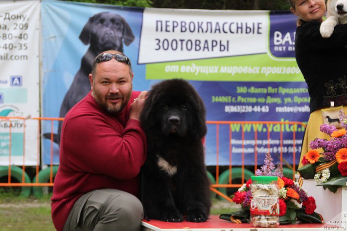 Фотография № 181421