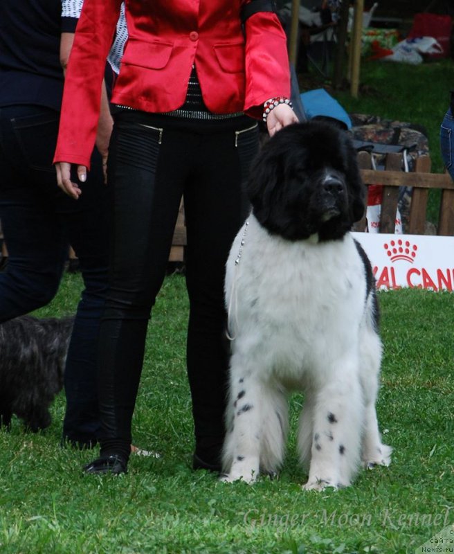 Фотография № 181422