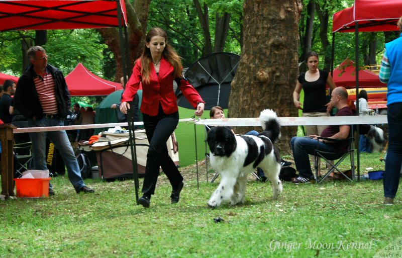 Фотография № 181423