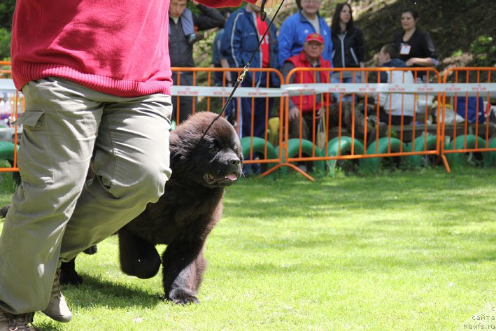 Фотография № 181424