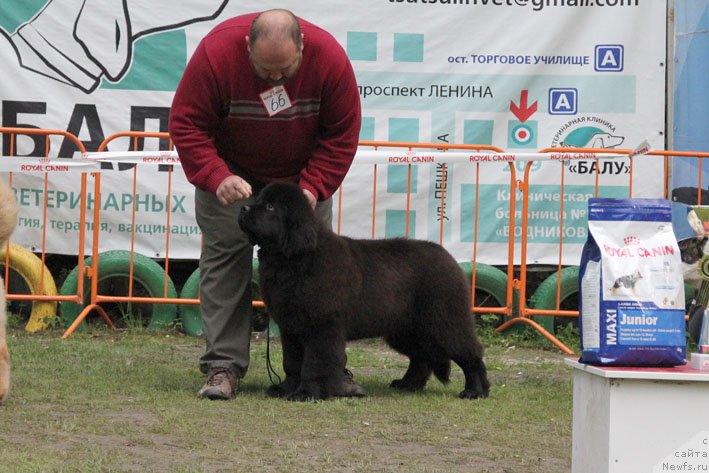 Фотография № 181425