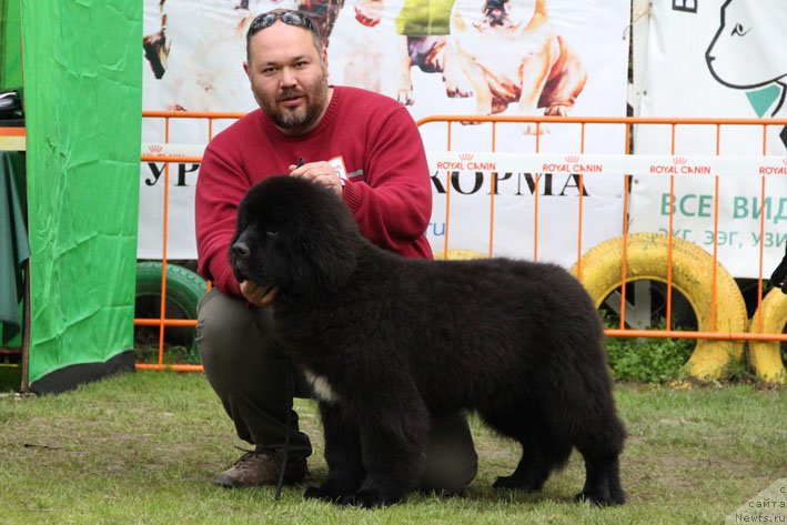 Фотография № 181428