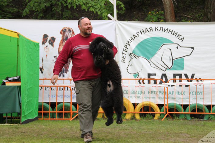 Фотография № 181429