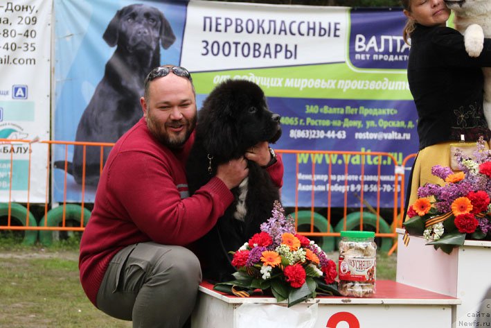 Фото: ньюфаундленд Гусар с Берега Дона (Gusar s Berega Dona)