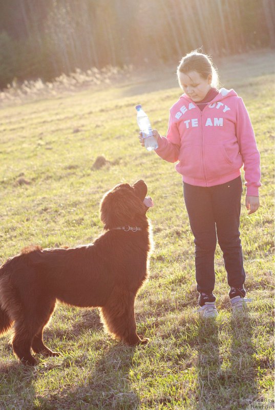 Фотография № 181444