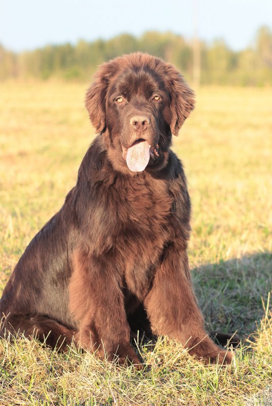 Фотография № 181447