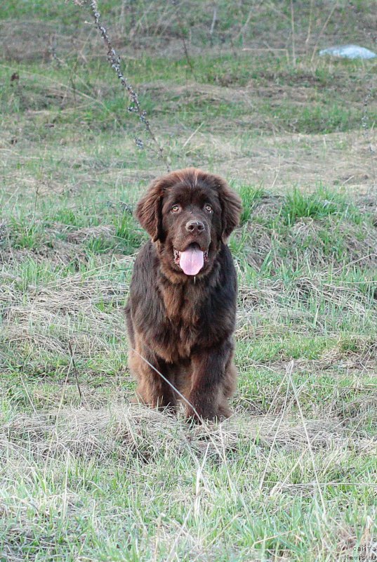 Фотография № 181448