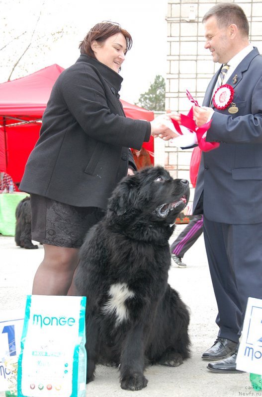 Фотография № 181450