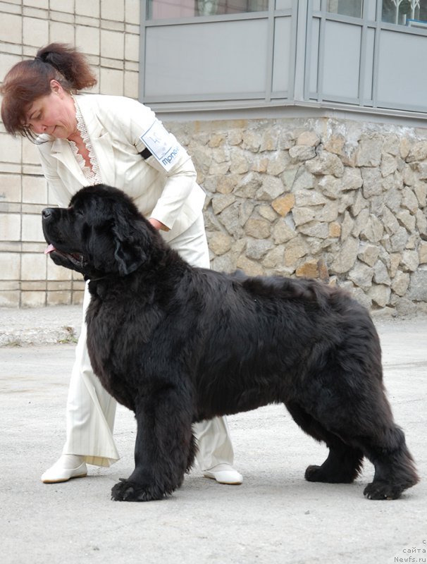 Фотография № 181451