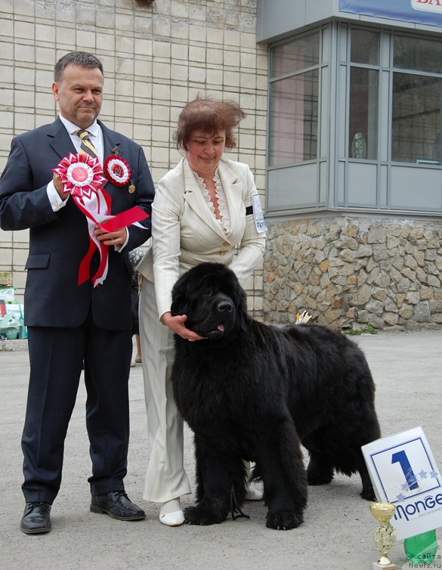 Фотография № 181454