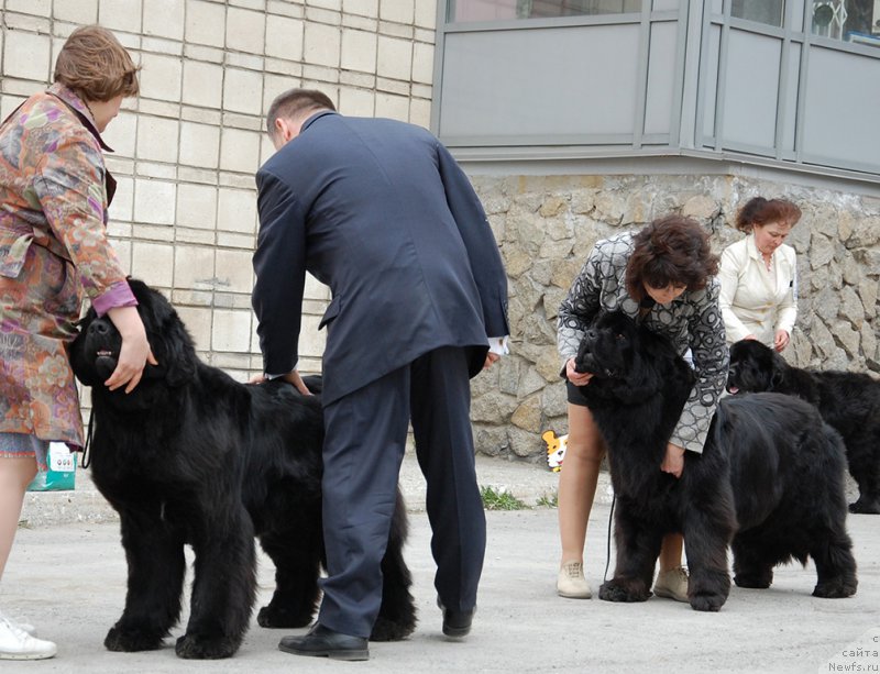 Фотография № 181455